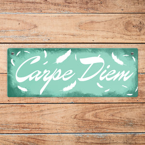 Carpe Diem Nutze den Tag Metallschild in braun