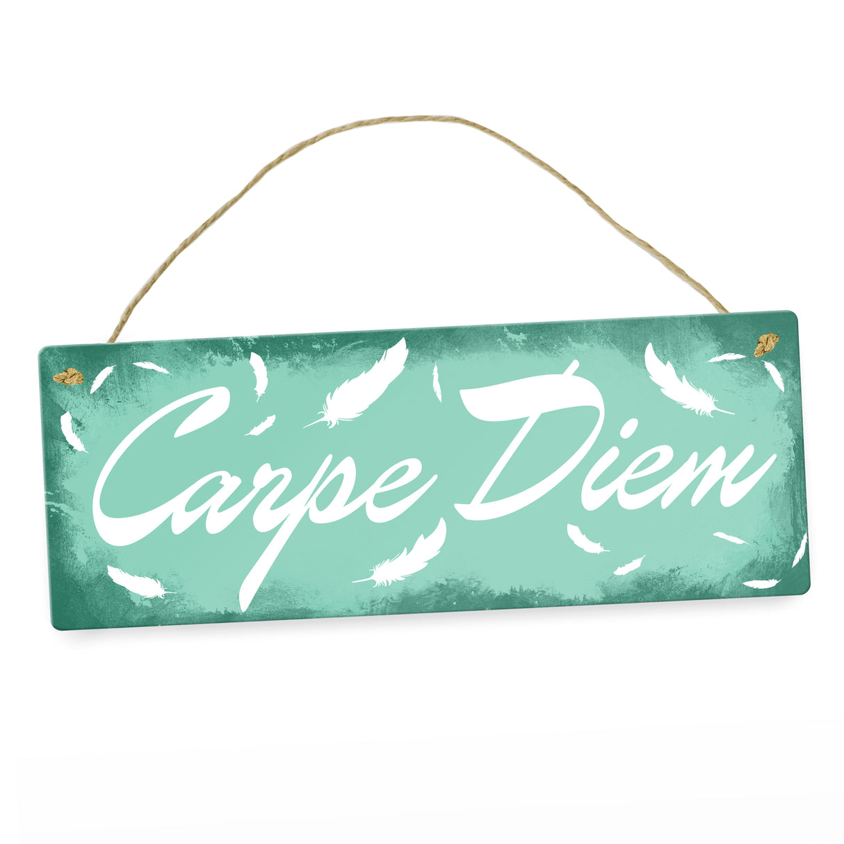 Carpe Diem Nutze den Tag Metallschild in braun