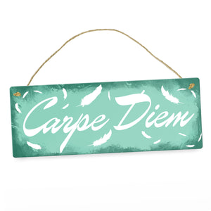 Carpe Diem Nutze den Tag Metallschild in braun