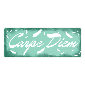 Carpe Diem Nutze den Tag Metallschild in braun