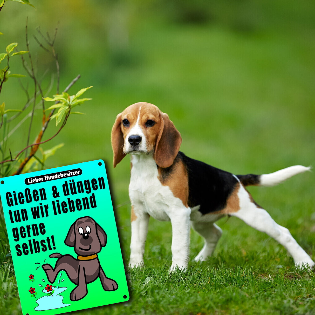 Gießen und düngen - Kein Hundeklo Schild