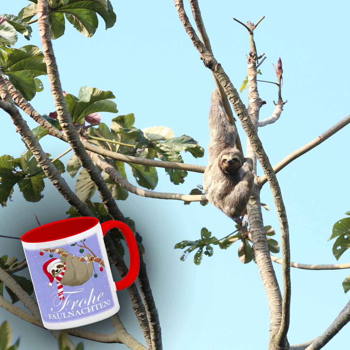 Frohe Faulnachten Kaffeebecher mit süßem weihnachtlichem Faultier