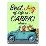 Best Joy of Life is Cabrio drive Metallschild