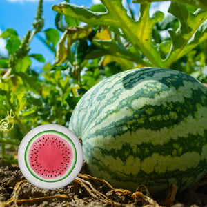 Melone Kühlschrankmagnet