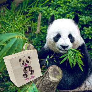 It's a girl Baby Panda Spardose in rosa