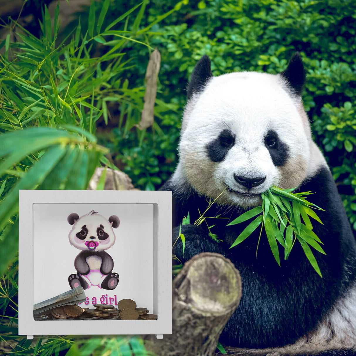 It's a girl Baby Panda Spardose in rosa