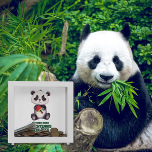 Für einen neuen Tischtennis Schläger Panda Spardose