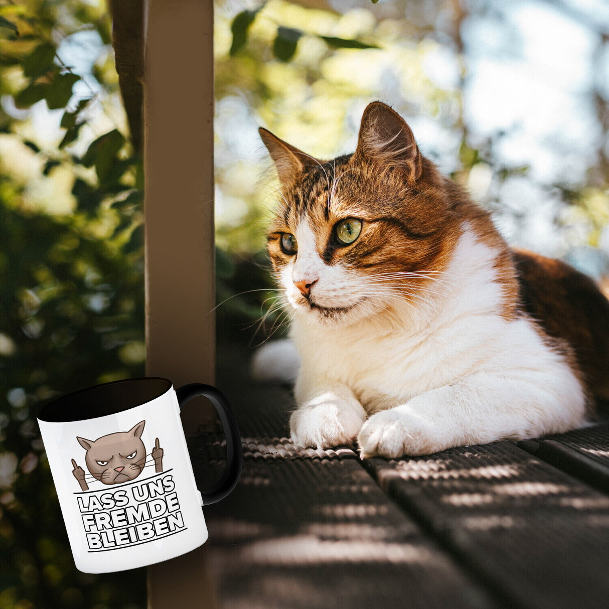 Lass uns Fremde bleiben mit Katze Kaffeebecher