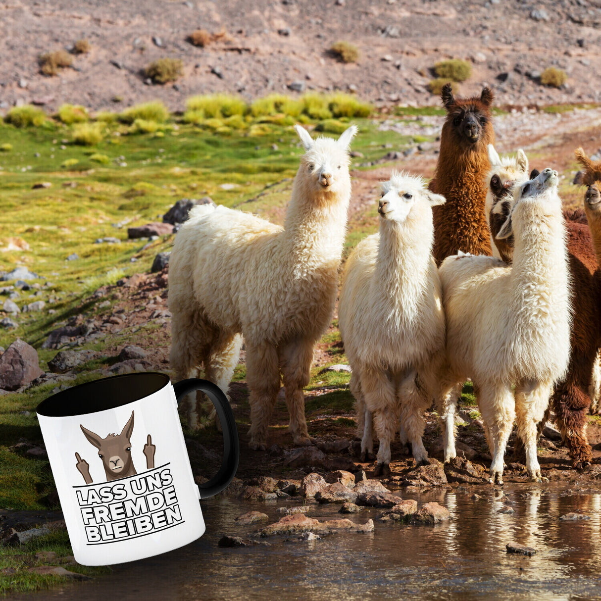 Lass uns Fremde bleiben mit Lama Kaffeebecher