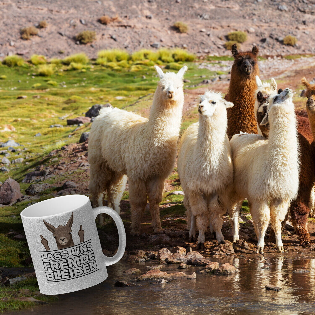 Lass uns Fremde bleiben mit Lama Kaffeebecher