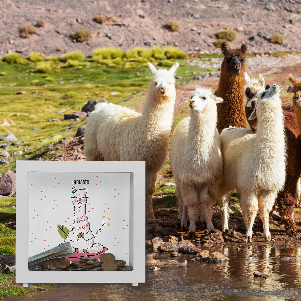 Lamaste - Die geistreiche Spardose mit Lama Motiv