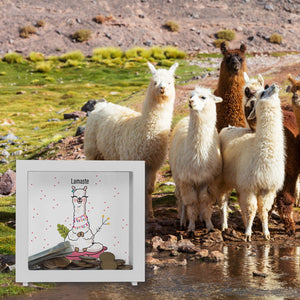 Lamaste - Die geistreiche Spardose mit Lama Motiv