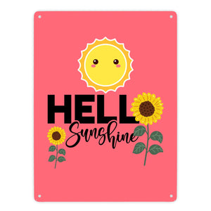 Gute Laune Metallschild in 15x20 cm mit Spruch Hello Sunshine