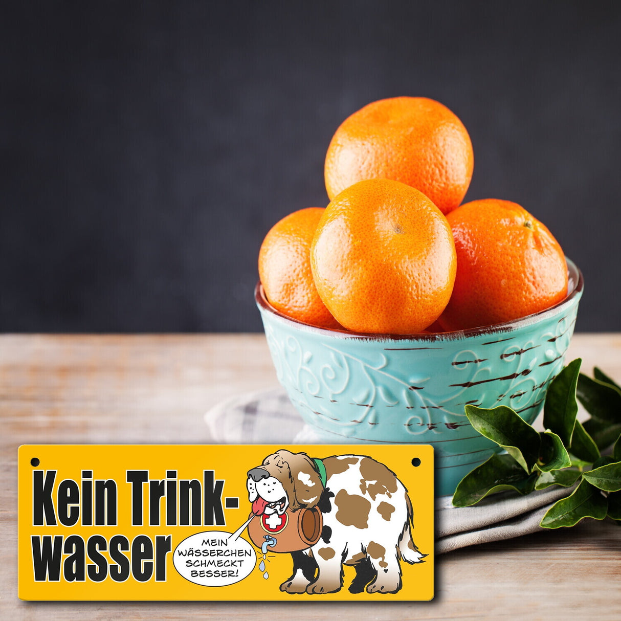 Kein Trinkwasser Metallschild mit Schweizer Alpenhund