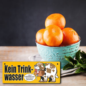 Kein Trinkwasser Metallschild mit Schweizer Alpenhund