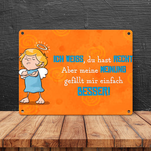 Engel Metallschild in 15x20 cm mit Spruch- Ich spreche Ironie mit Sarkasmus-Akzent