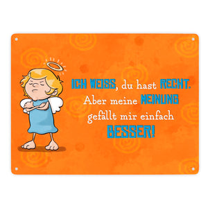 Engel Metallschild in 15x20 cm mit Spruch- Ich spreche Ironie mit Sarkasmus-Akzent