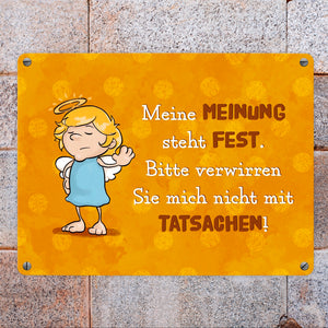 Engel Metallschild in 15x20 cm mit Spruch- Ich spreche Ironie mit Sarkasmus-Akzent
