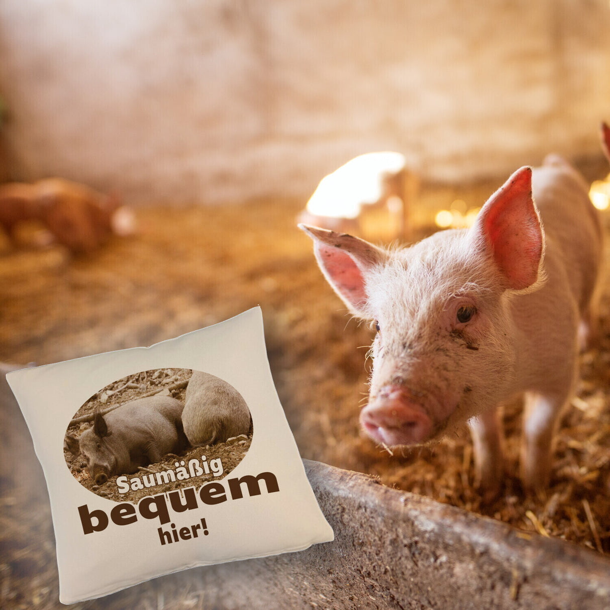 Schwein Kissen mit Spruch Saumäßig bequem hier!