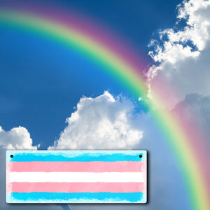 Pride-Flagge Rainbow Metallschild