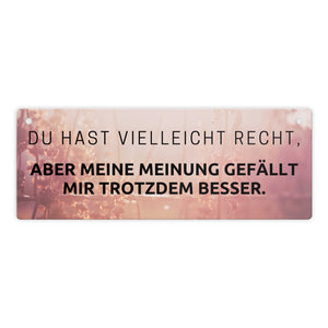 Du hast vielleicht Recht Metallschild Aber meine Meinung gefällt mir besser