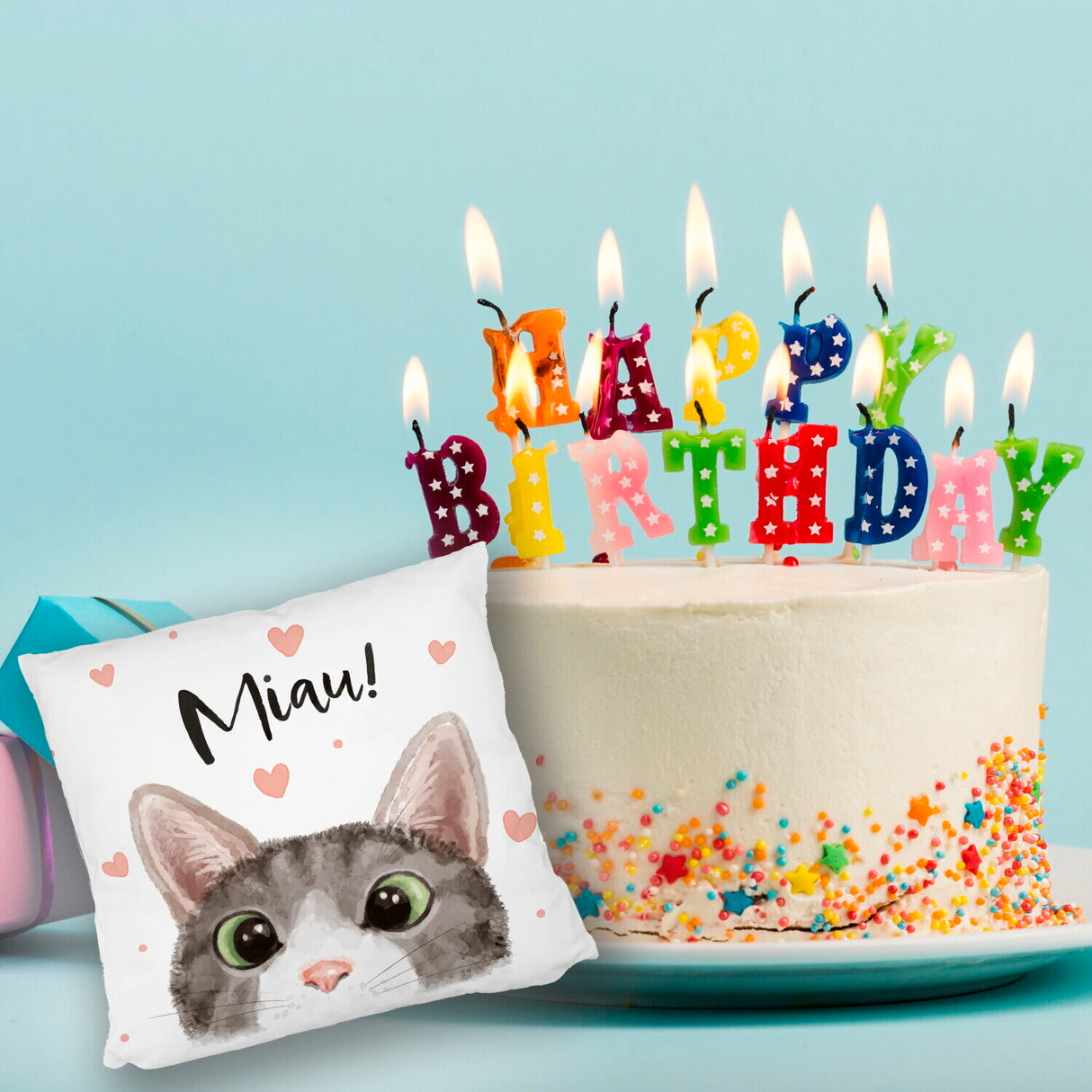 Miau Katze Kissen