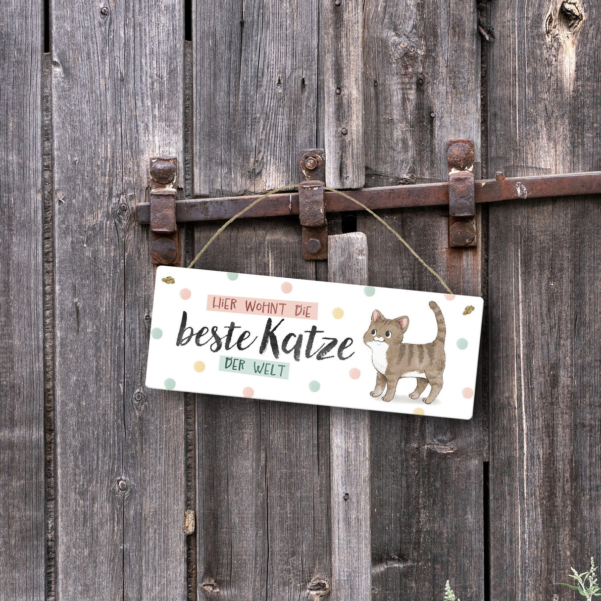 Beste Katze der Welt Metallschild mit oranger Katze und Spruch