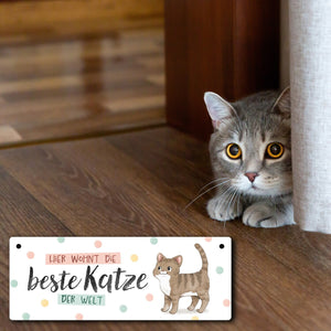 Beste Katze der Welt Metallschild mit oranger Katze und Spruch