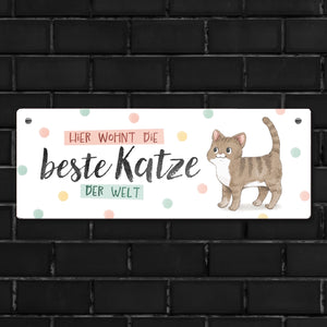 Beste Katze der Welt Metallschild mit oranger Katze und Spruch