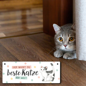 Beste Katze der Welt Metallschild mit oranger Katze und Spruch