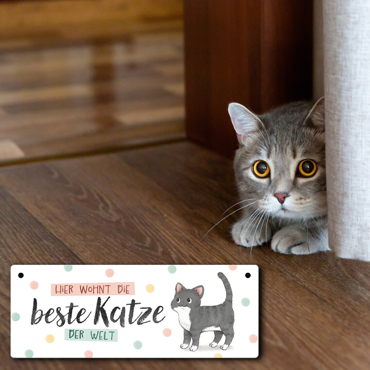Beste Katze der Welt Metallschild mit oranger Katze und Spruch