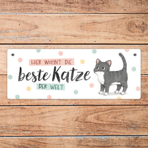 Beste Katze der Welt Metallschild mit oranger Katze und Spruch