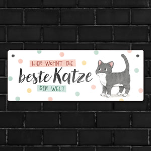 Beste Katze der Welt Metallschild mit oranger Katze und Spruch