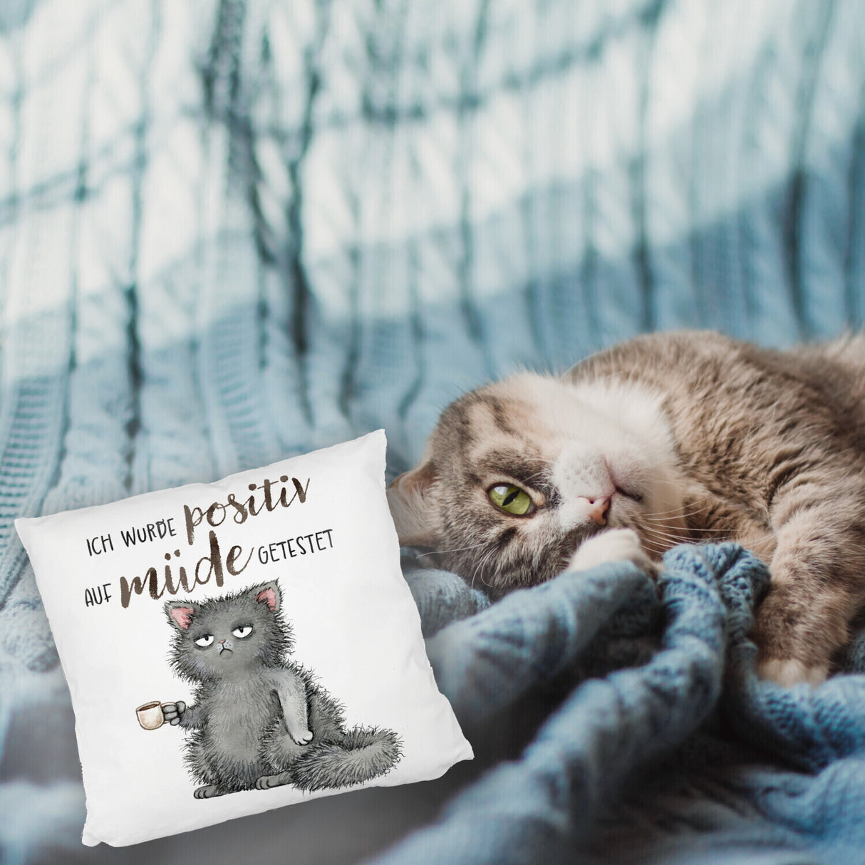 Genervte Katze Kissen mit Spruch positiv auf müde getestet