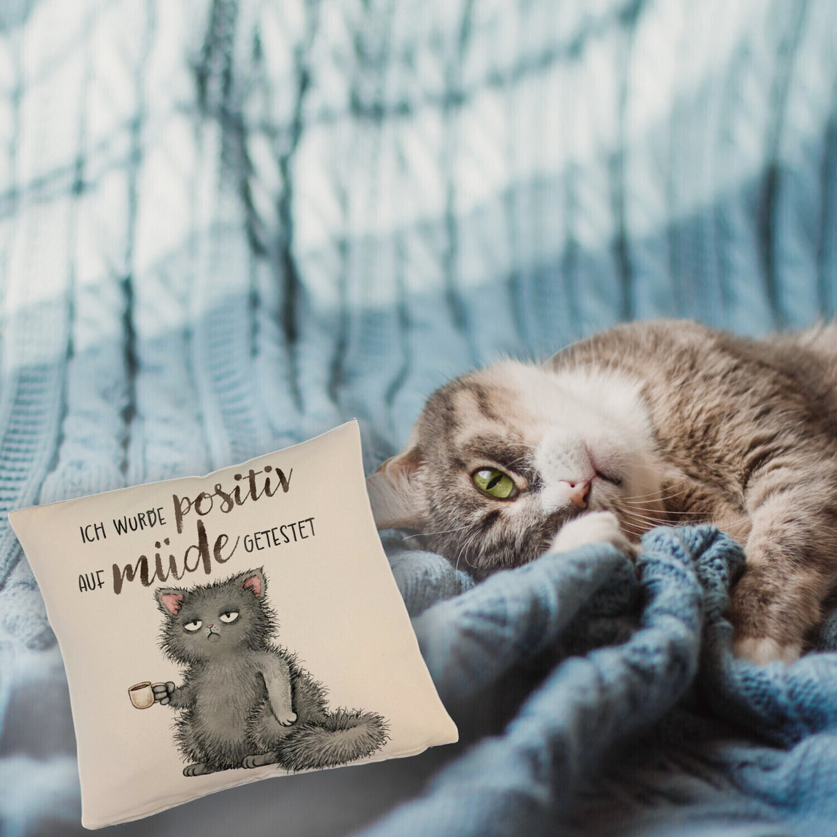 Genervte Katze Kissen mit Spruch positiv auf müde getestet