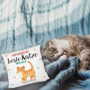 Beste Katze der Welt Kissen mit oranger Katze Katze und Spruch