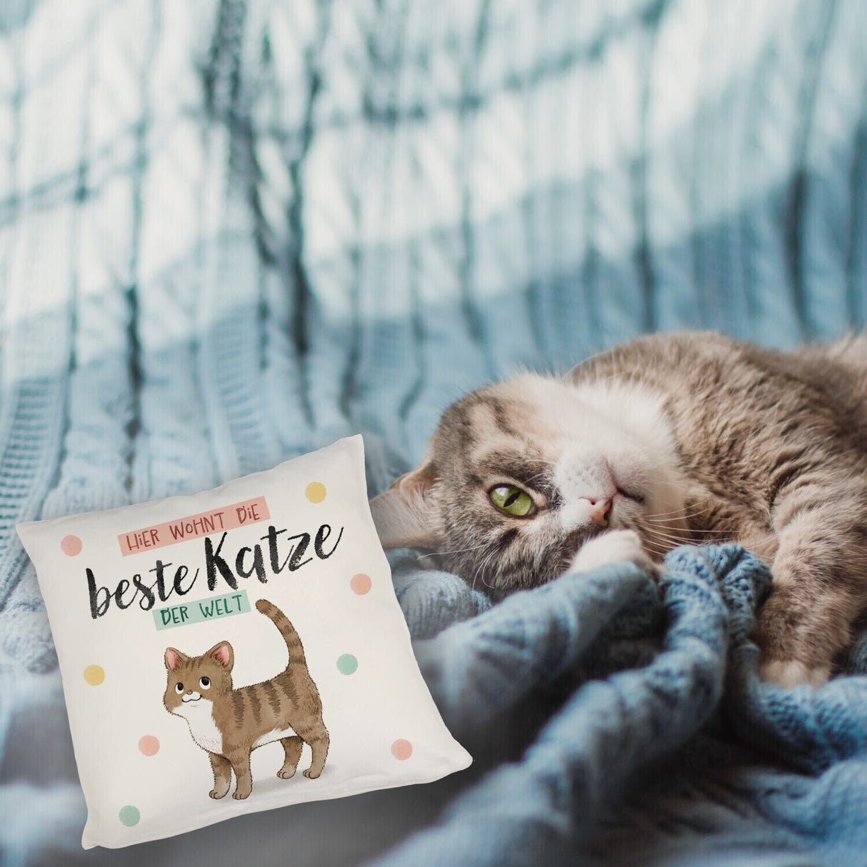Beste Katze der Welt Kissen mit oranger Katze Katze und Spruch