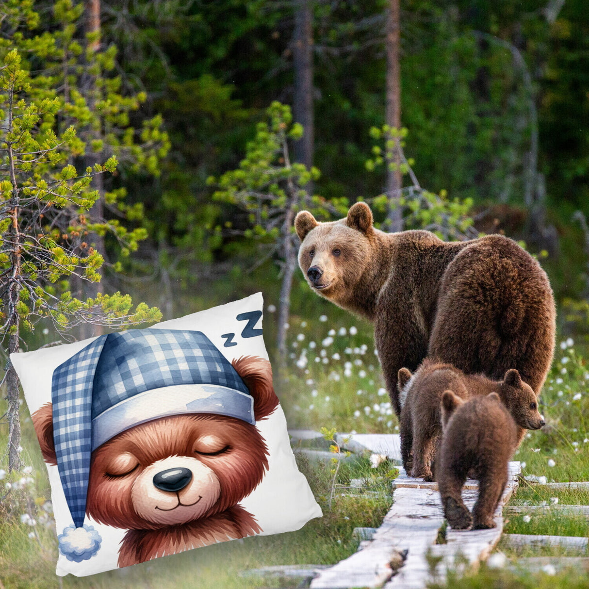 Braunbär Kissen