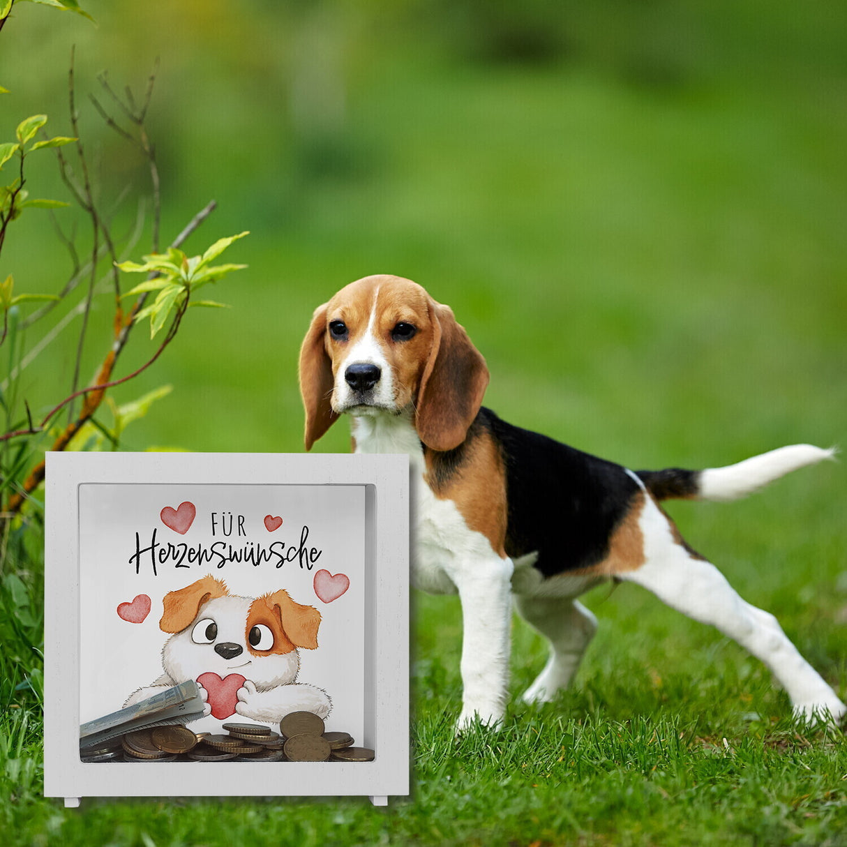 Hund Spardose mit Spruch Für Herzenswünsche