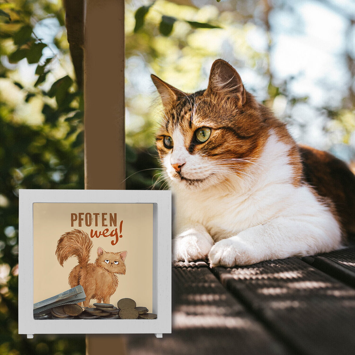Katze Spardose mit Spruch Pfoten weg
