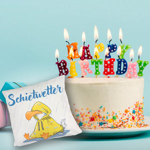 Möwe Kissen mit Spruch Schietwetter