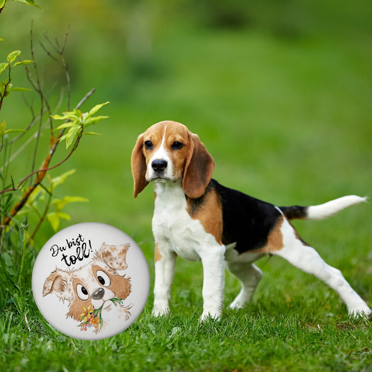 Hund Magnet rund rund mit Spruch Du bist toll