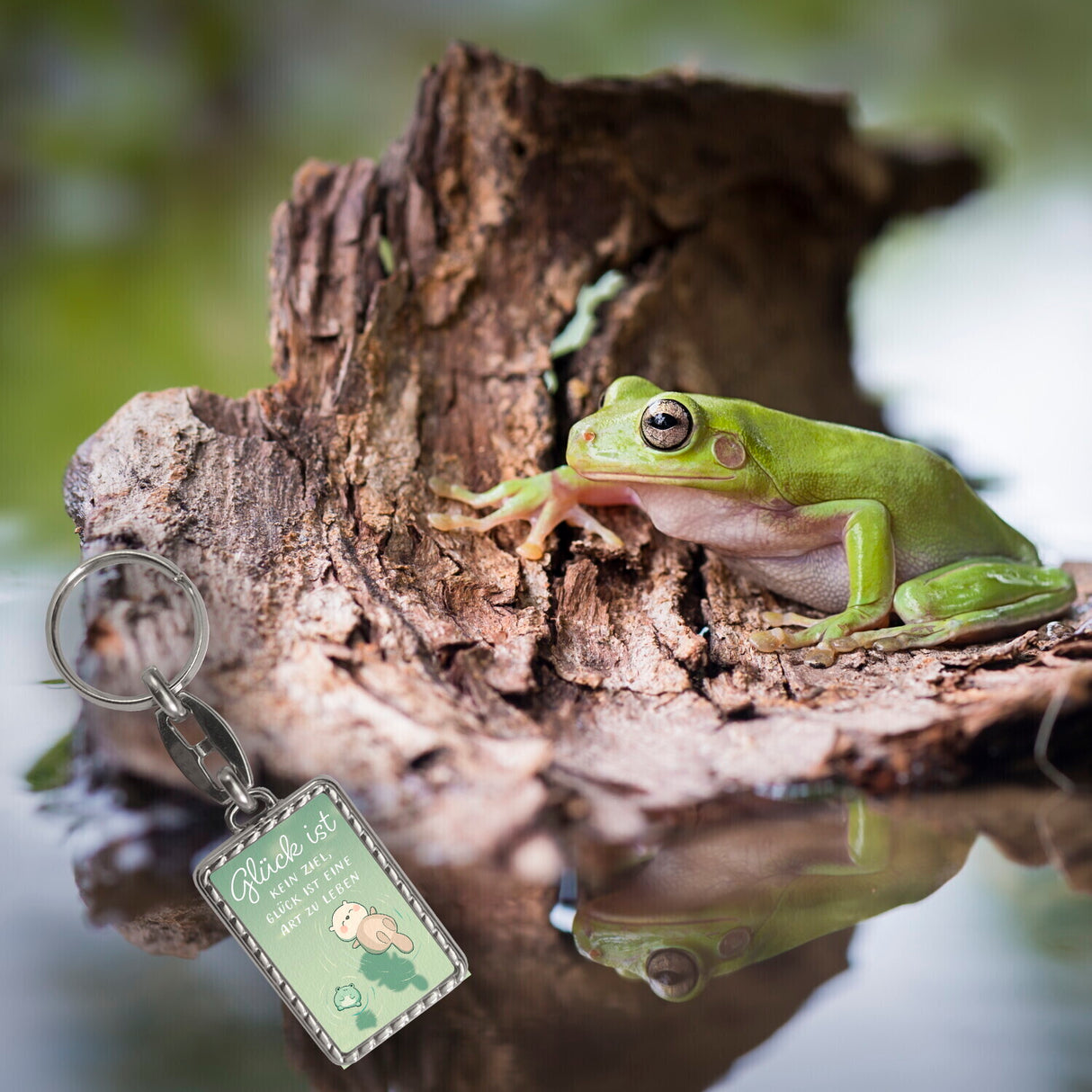 Otter und Frosch Schlüsselanhänger mit Spruch Glück ist Lebensweise kein Ziel
