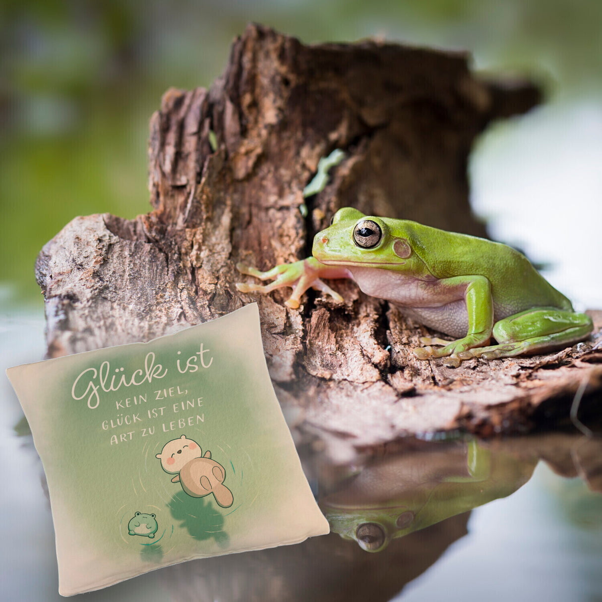 Otter und Frosch Kissen mit Spruch Glück ist Lebensart kein Ziel