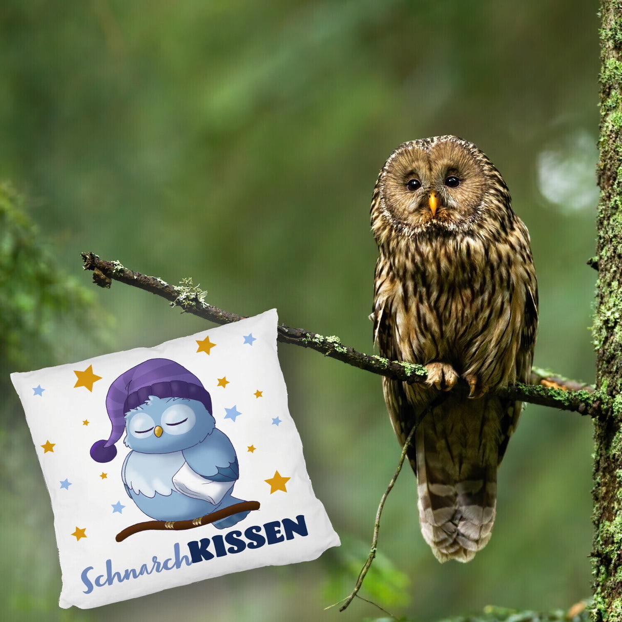 Schlafende Eule Kissen mit Spruch SchnarchKissen
