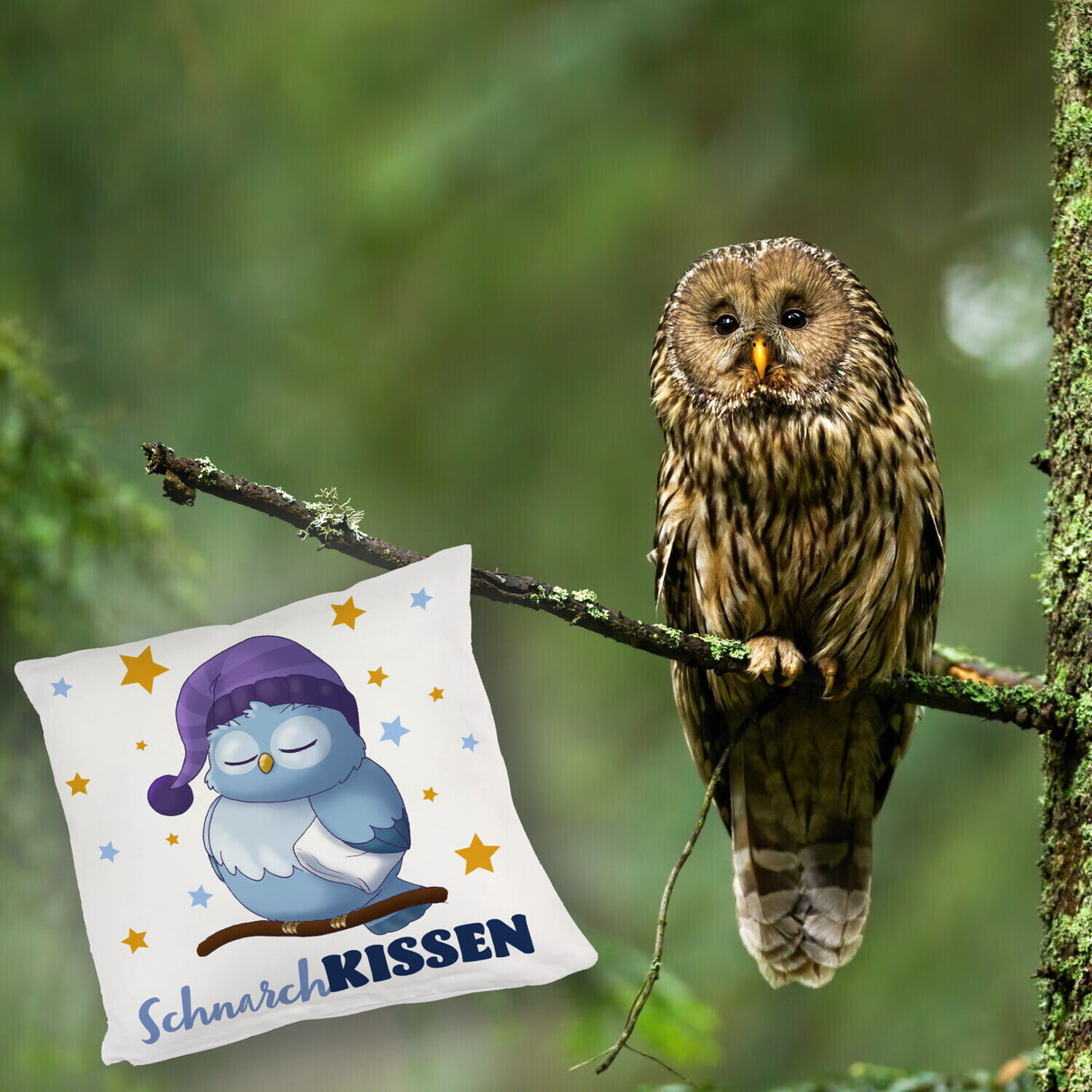 Schlafende Eule Kissen mit Spruch SchnarchKissen