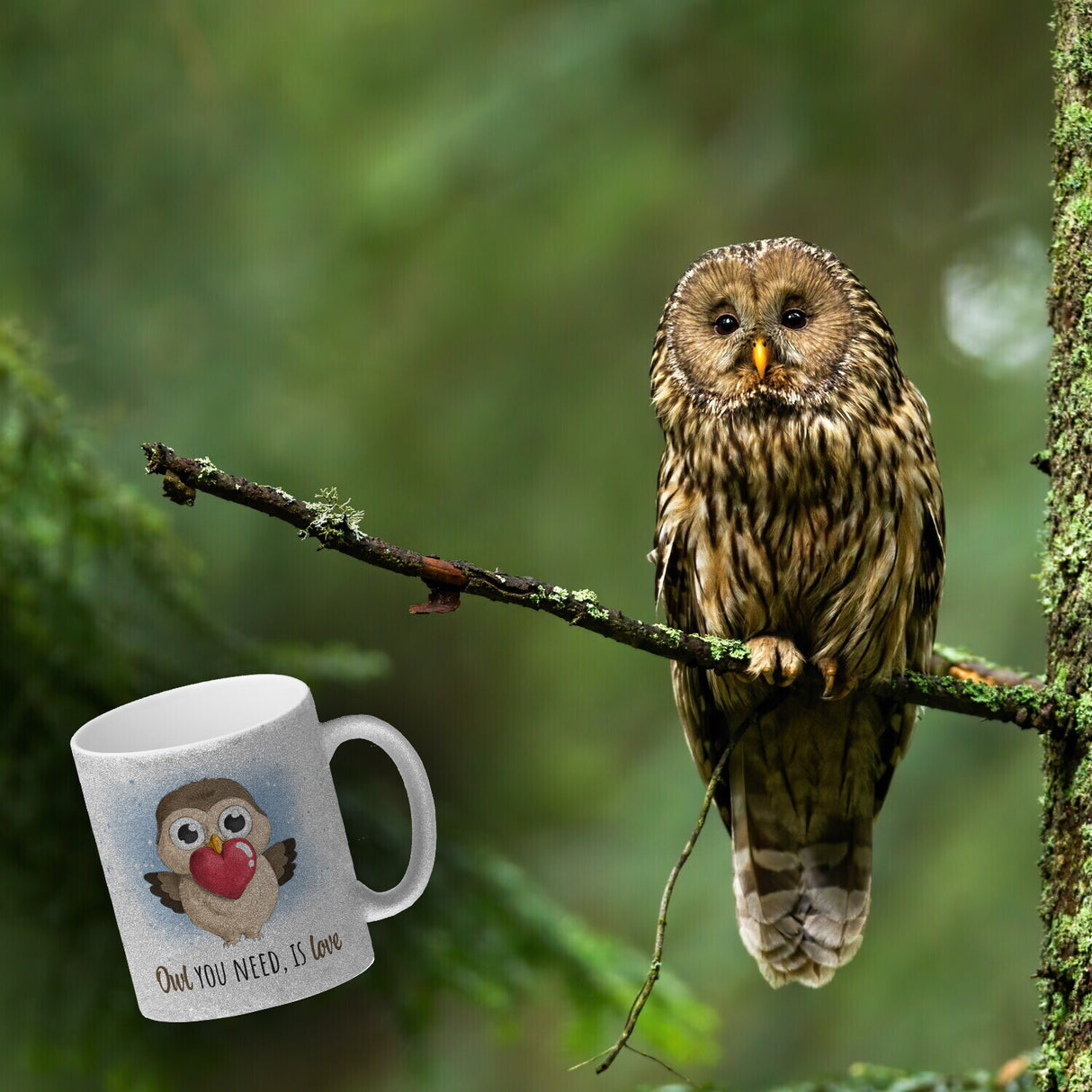 Eule Kaffeebecher mit Spruch Owl You need is love