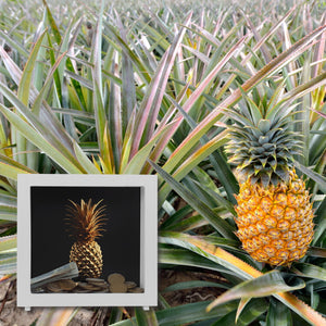 Goldene Ananas Spardose