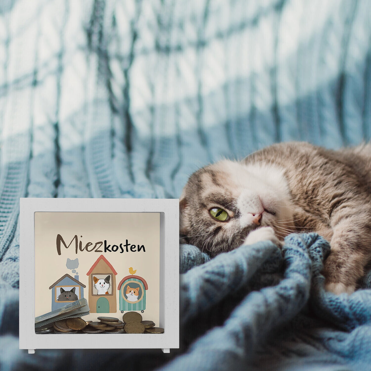 Katzen Spardose mit Spruch Miezkosten