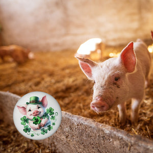 Süßes Schwein das Glück bringt Magnet